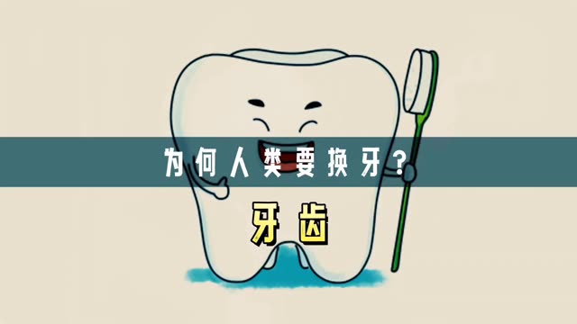 为什么人类到了6岁就要换牙？